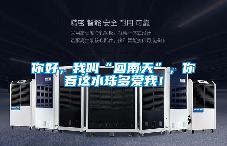 你好,我叫“回南天”,你看這水珠多愛我!