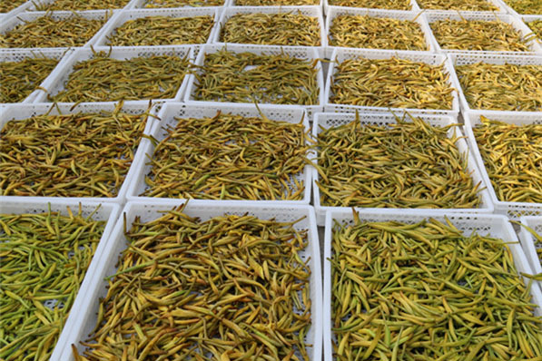 1525656136277562.jpg 4.jpg