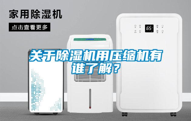 關于除濕機用壓縮機有誰了解？