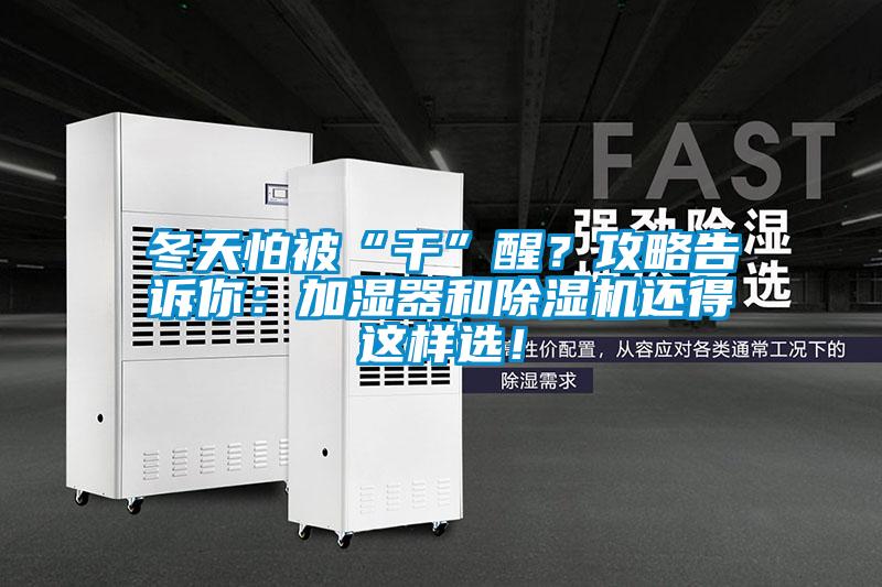 冬天怕被“干”醒？攻略告訴你：加濕器和除濕機還得這樣選！