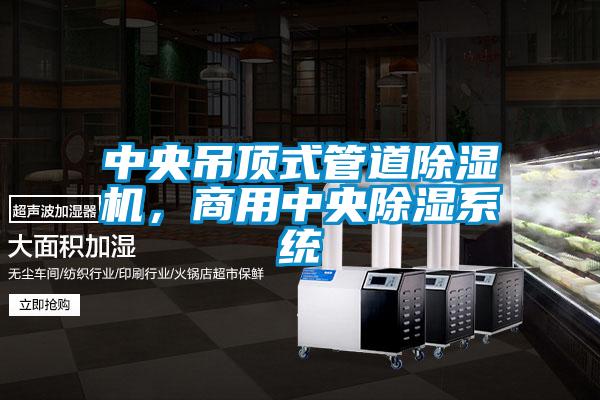 中央吊頂式管道除濕機，商用中央除濕系統(tǒng)