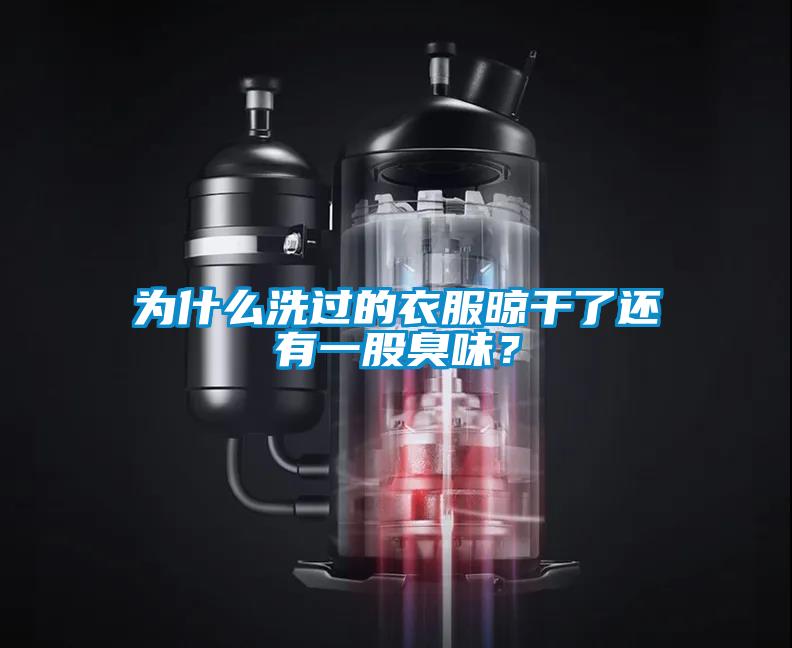 為什么洗過的衣服晾干了還有一股臭味？