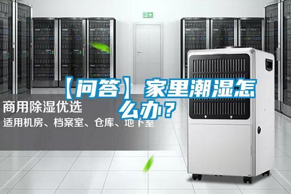 【問答】家里潮濕怎么辦？