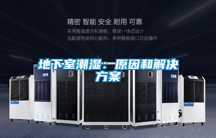 地下室潮濕:原因和解決方案