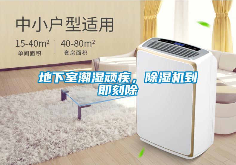 地下室潮濕頑疾,除濕機到即刻除