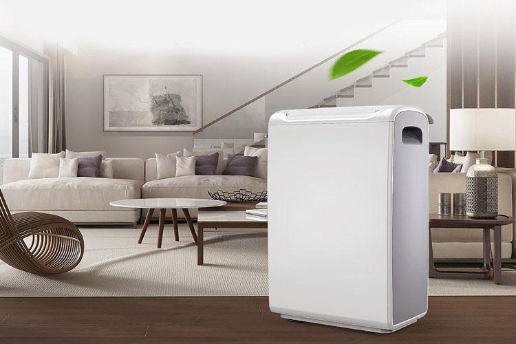 城中村必備家電?宜盾普 YL–2G10EC除濕機