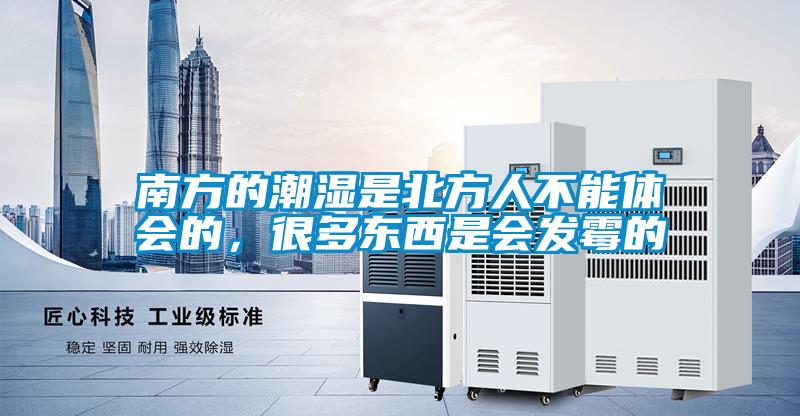 南方的潮濕是北方人不能體會的，很多東西是會發霉的