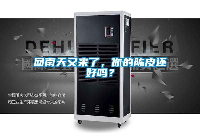 回南天又來了，你的陳皮還好嗎？