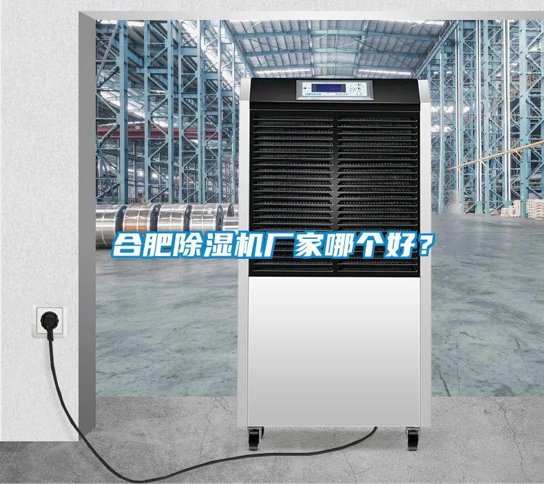 合肥除濕機(jī)廠家哪個(gè)好?