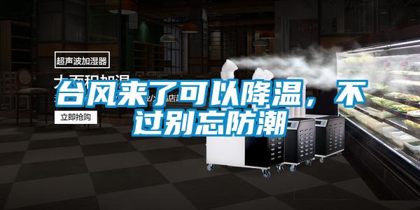 臺風來了可以降溫,不過別忘防潮