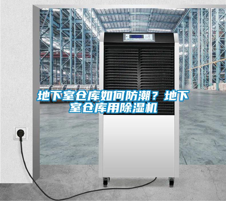 地下室倉(cāng)庫(kù)如何防潮?地下室倉(cāng)庫(kù)用除濕機(jī)