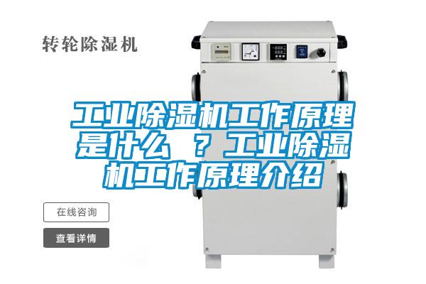 工業(yè)除濕機工作原理是什么 ?工業(yè)除濕機工作原理介紹