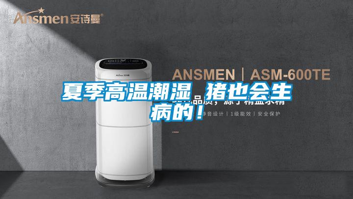 夏季高溫潮濕 豬也會生病的！