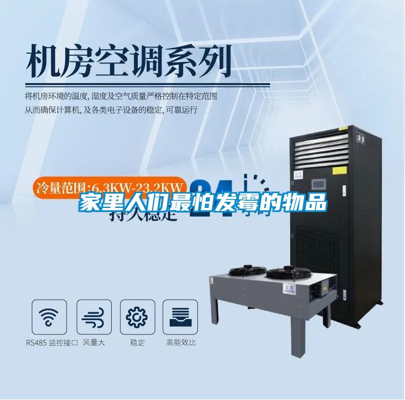 家里人們最怕發(fā)霉的物品