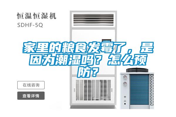 家里的糧食發霉了,是因為潮濕嗎?怎么預防?