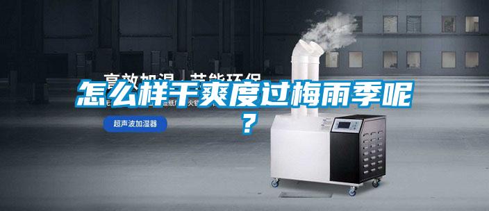 怎么樣干爽度過(guò)梅雨季呢?