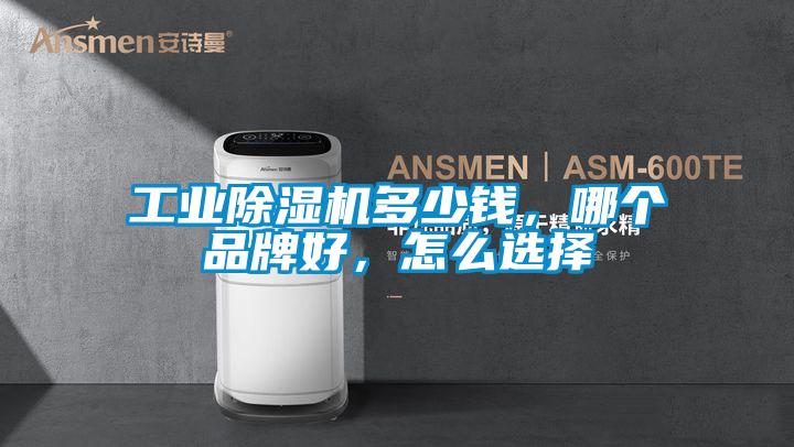 工業(yè)除濕機(jī)多少錢,哪個(gè)品牌好,怎么選擇