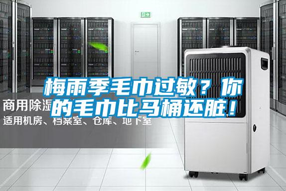 梅雨季毛巾過敏？你的毛巾比馬桶還臟！