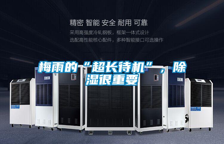 梅雨的“超長(zhǎng)待機(jī)”,除濕很重要