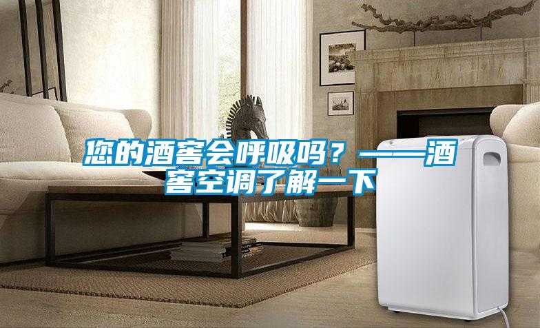您的酒窖會呼吸嗎？——酒窖空調了解一下