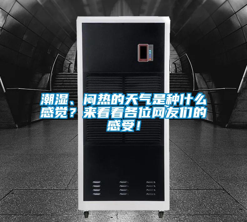 潮濕、悶熱的天氣是種什么感覺？來看看各位網(wǎng)友們的感受！