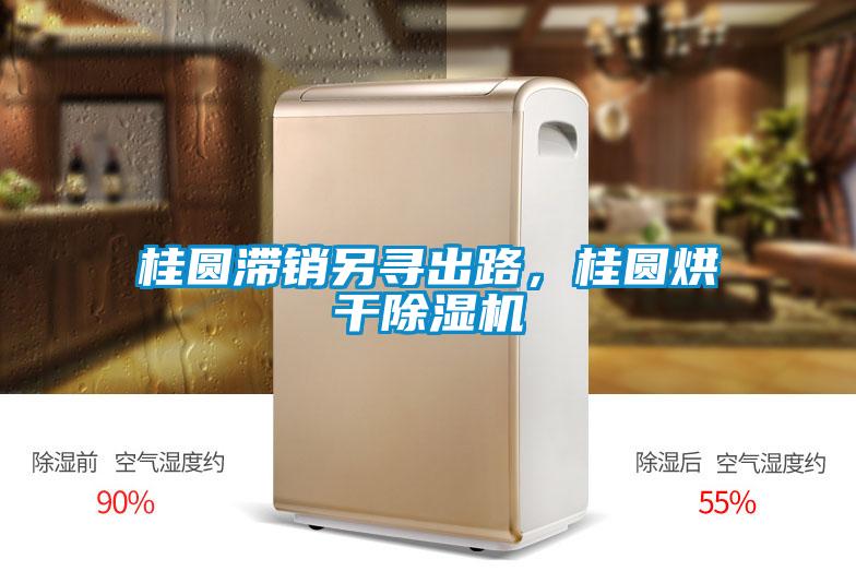 桂圓滯銷另尋出路，桂圓烘干除濕機