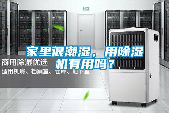 家里很潮濕，用除濕機有用嗎？
