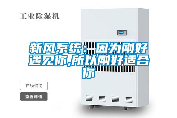 新風(fēng)系統(tǒng):因為剛好遇見你,所以剛好適合你