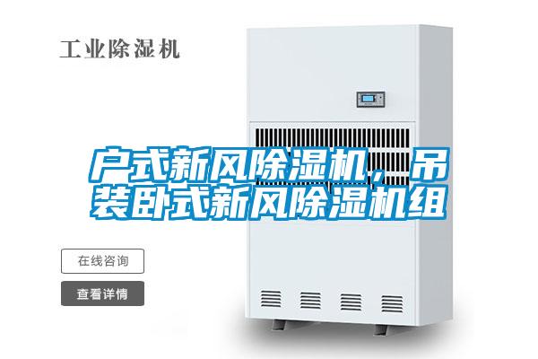 戶式新風除濕機，吊裝臥式新風除濕機組