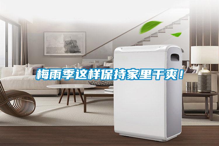 梅雨季這樣保持家里干爽！