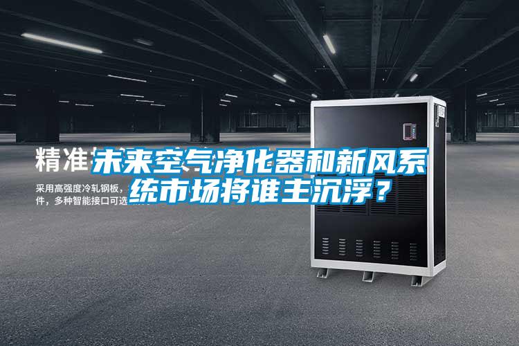 未來空氣凈化器和新風系統市場將誰主沉???