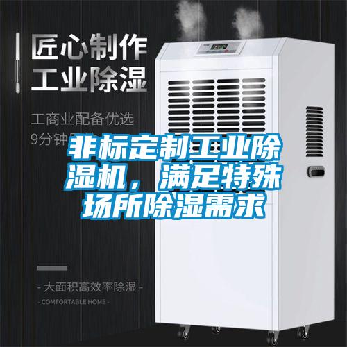 非標定制工業(yè)除濕機，滿足特殊場所除濕需求