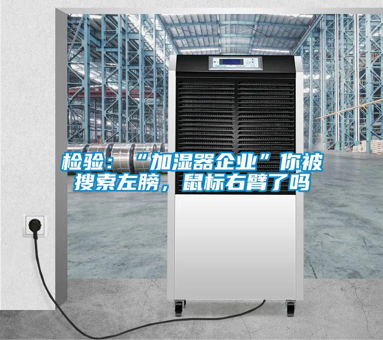 檢驗：“加濕器企業(yè)”你被搜索左膀，鼠標右臂了嗎