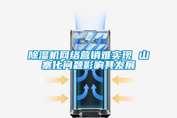 除濕機網絡營銷難實現(xiàn) 山寨化問題影響其發(fā)展