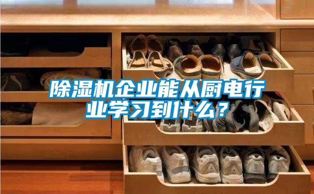 除濕機(jī)企業(yè)能從廚電行業(yè)學(xué)習(xí)到什么?
