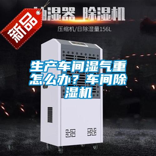 生產車間濕氣重怎么辦?車間除濕機