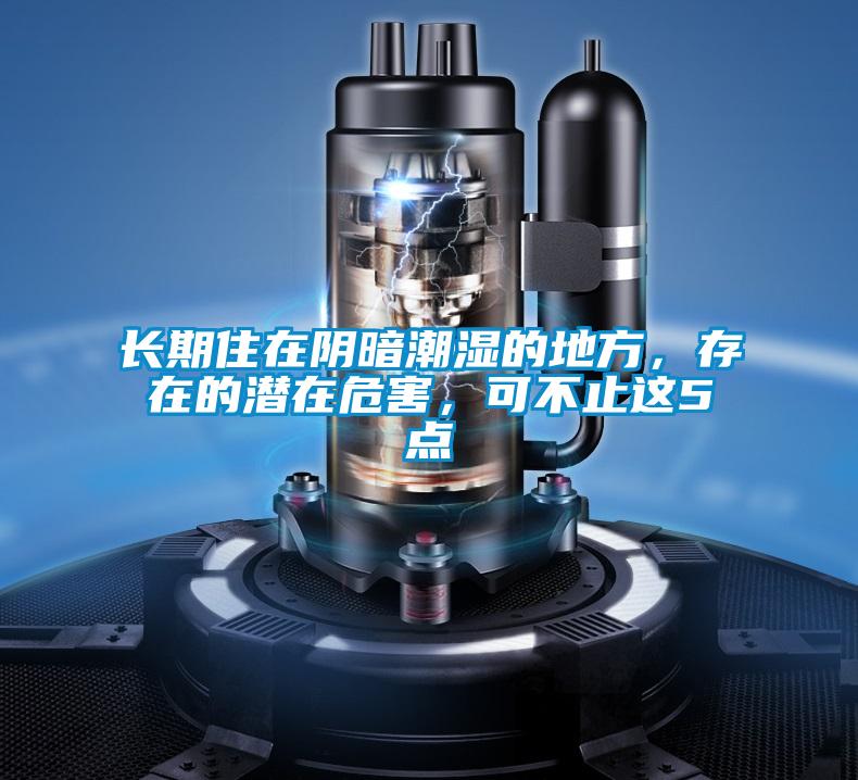 長期住在陰暗潮濕的地方，存在的潛在危害，可不止這5點