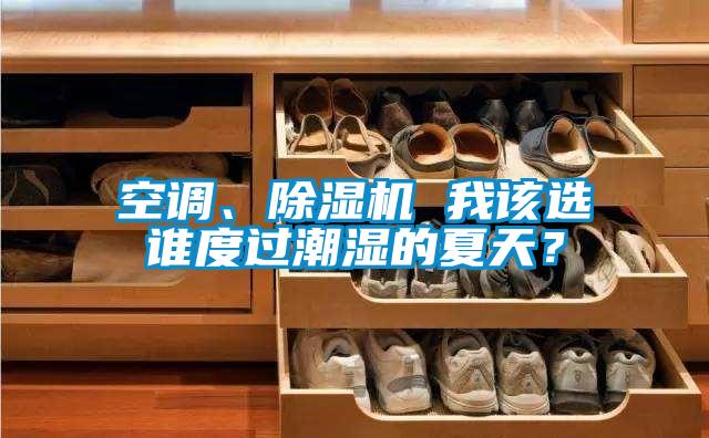 空調(diào)、除濕機 我該選誰度過潮濕的夏天？