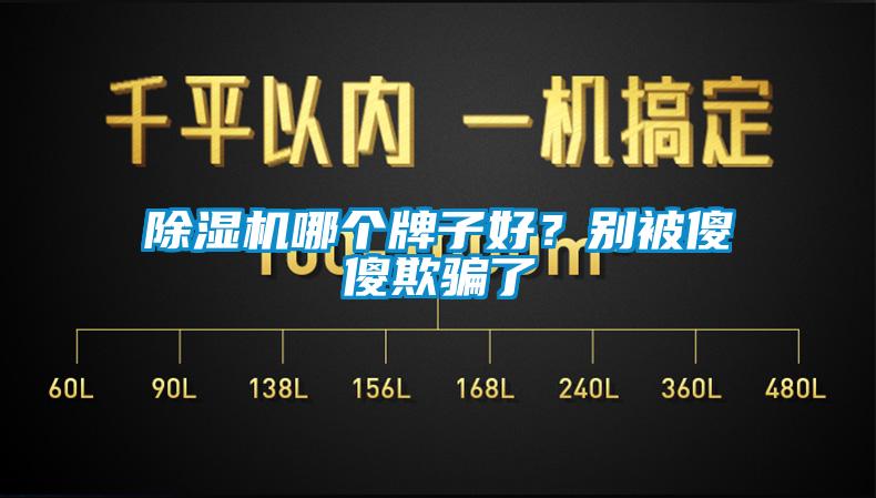 除濕機哪個牌子好?別被傻傻欺騙了