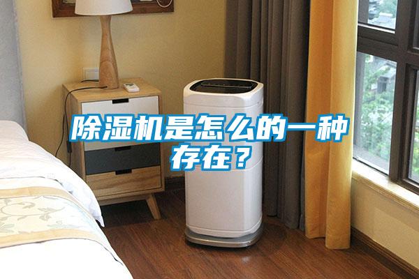 除濕機是怎么的一種存在？