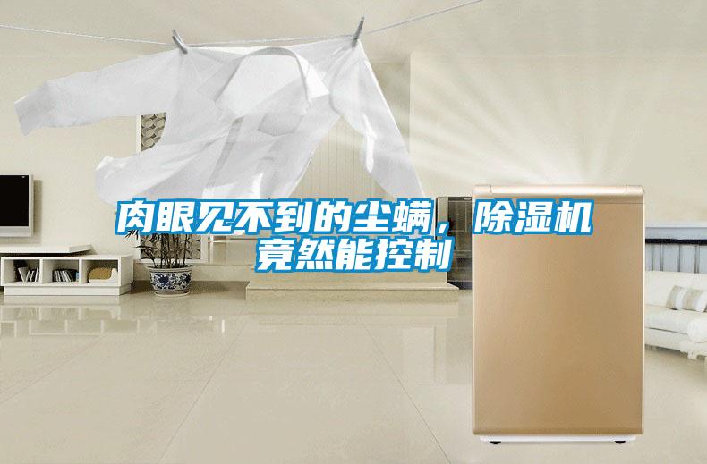 肉眼見不到的塵螨，除濕機(jī)竟然能控制