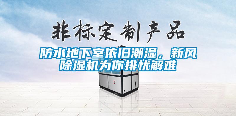 防水地下室依舊潮濕，新風除濕機為你排憂解難