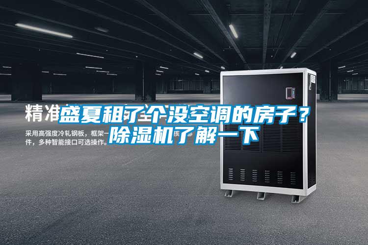盛夏租了個沒空調的房子？除濕機了解一下