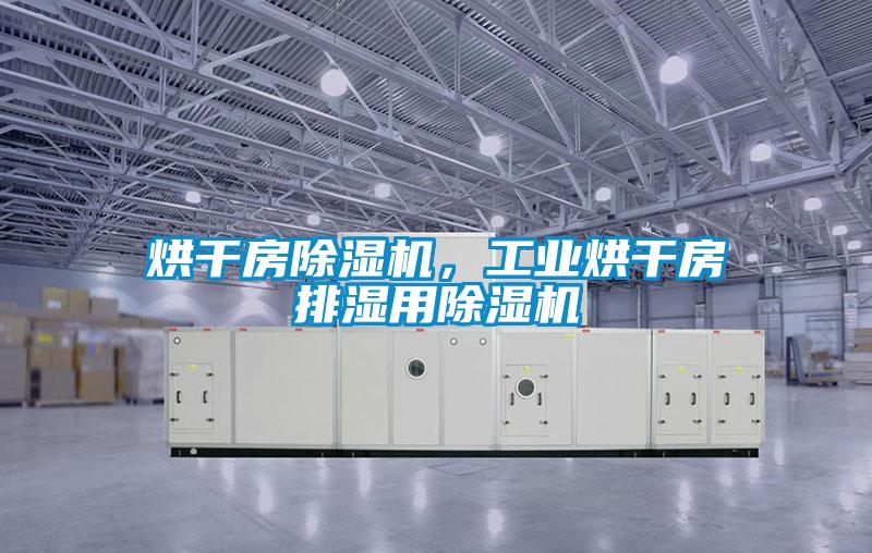 烘干房除濕機,工業烘干房排濕用除濕機