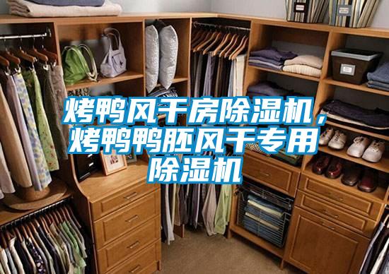 烤鴨風干房除濕機,烤鴨鴨胚風干專用除濕機