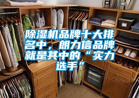 除濕機品牌十大排名中,朗力信品牌就是其中的“實力選手”