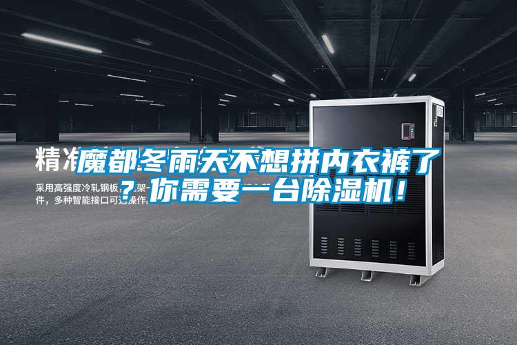 魔都冬雨天不想拼內衣褲了？你需要一臺除濕機！