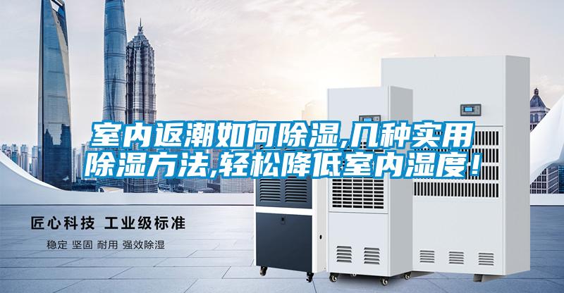 室內(nèi)返潮如何除濕,幾種實用除濕方法,輕松降低室內(nèi)濕度!