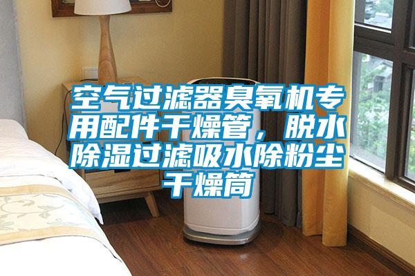 空氣過濾器臭氧機專用配件干燥管,脫水除濕過濾吸水除粉塵干燥筒