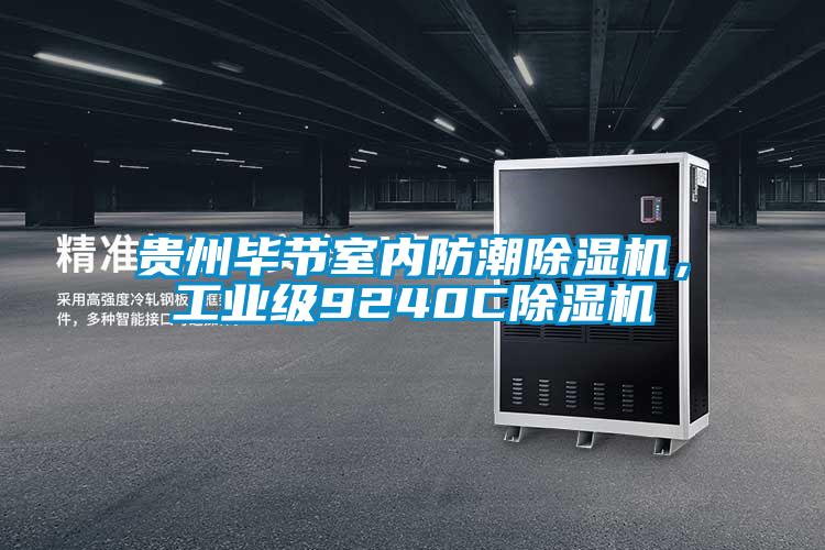 貴州畢節(jié)室內(nèi)防潮除濕機(jī)，工業(yè)級(jí)9240C除濕機(jī)